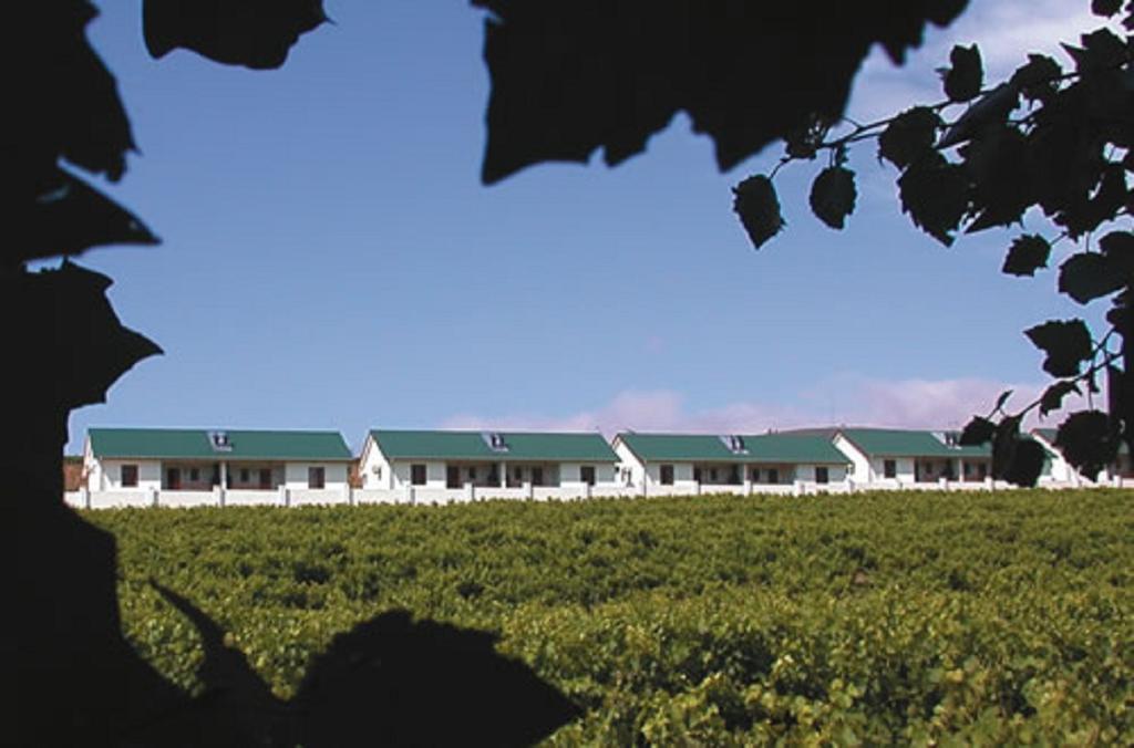D'Aria Guest Cottages Durbanville Exteriör bild